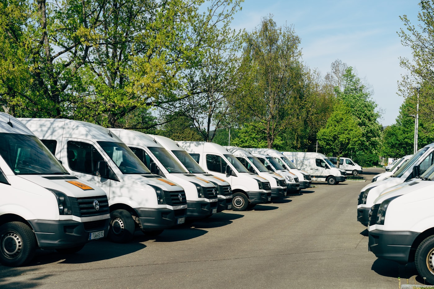 Stedfasts fleet of delivery vans lined up and ready
